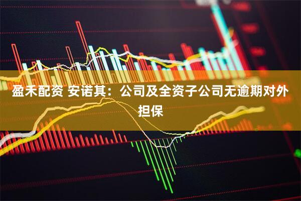 盈禾配资 安诺其：公司及全资子公司无逾期对外担保