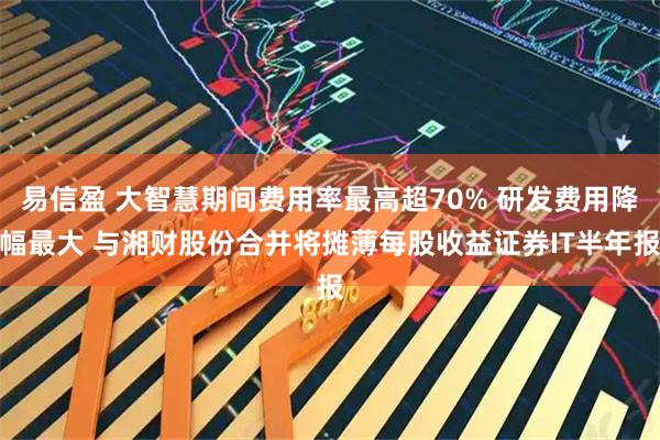 易信盈 大智慧期间费用率最高超70% 研发费用降幅最大 与湘财股份合并将摊薄每股收益证券IT半年报