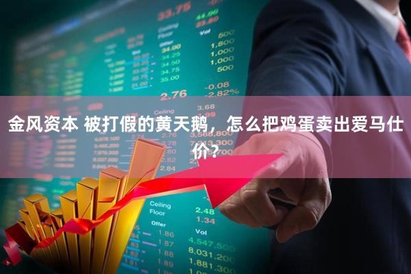 金风资本 被打假的黄天鹅，怎么把鸡蛋卖出爱马仕价？